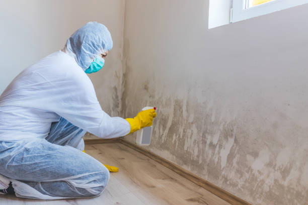 Bathroom Mold Removal assessment in Oviedo bathroom